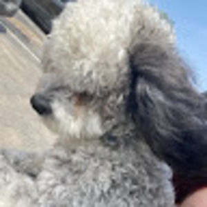 Meet your Posher, Mia